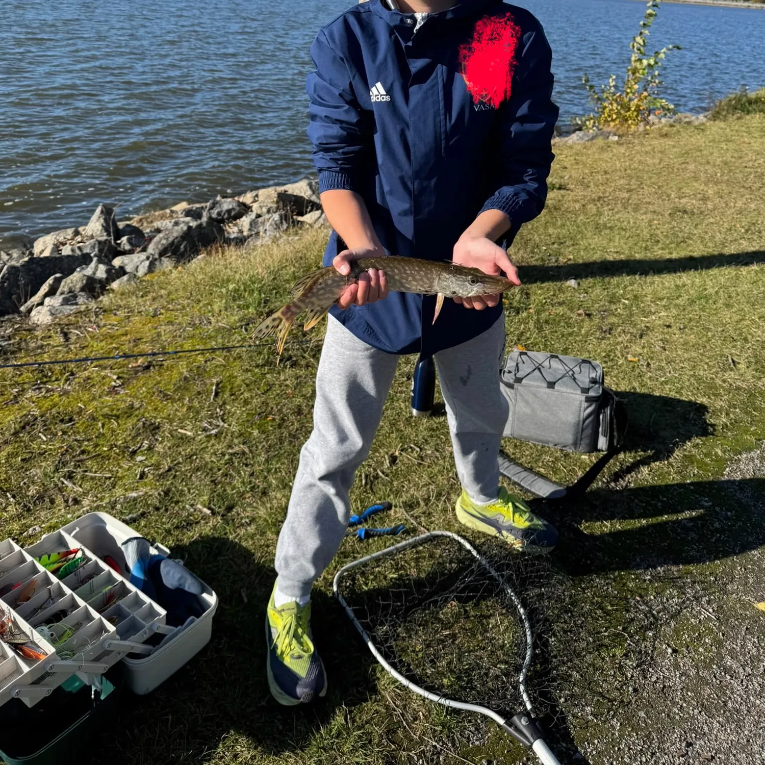 Northern pike caught on Fishbrain