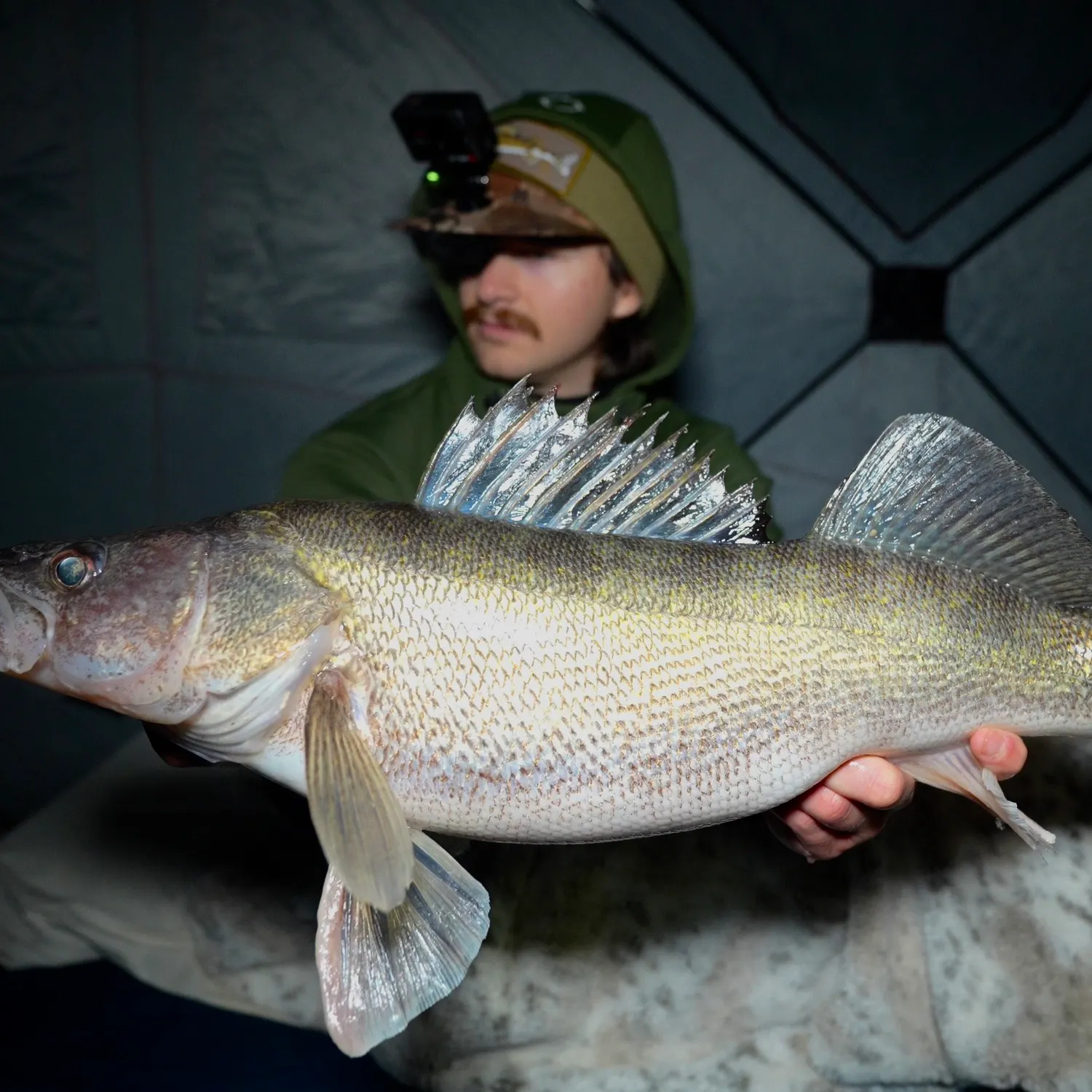 The most recent Walleye catches on Fishbrain