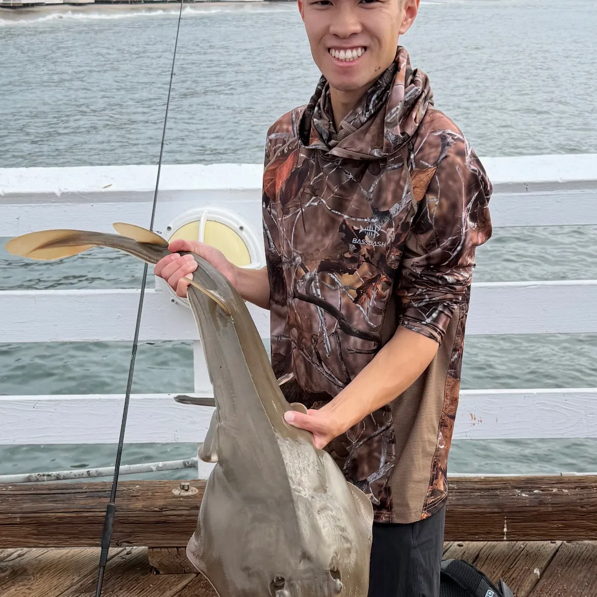 Pacific shovelnose guitarfish caught on Fishbrain