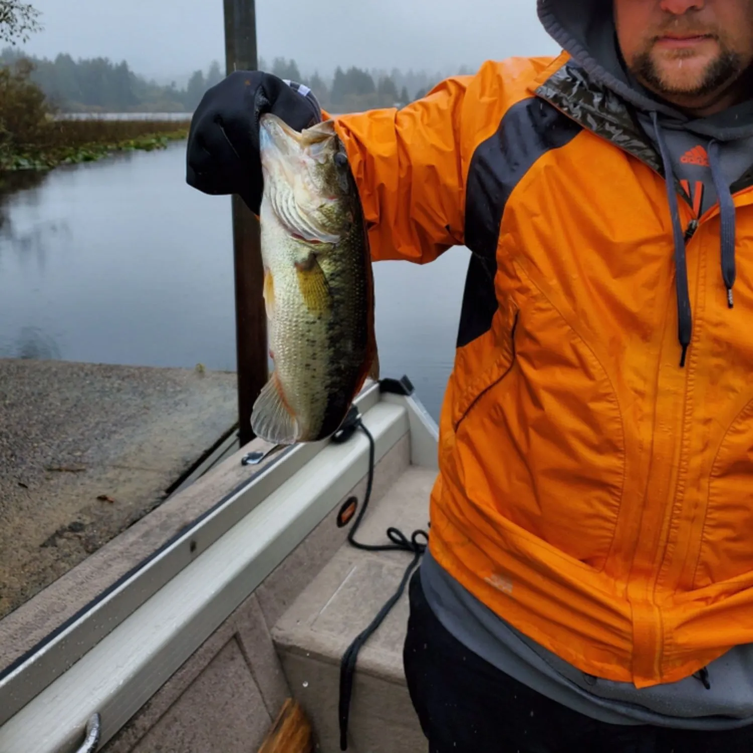 angler catch