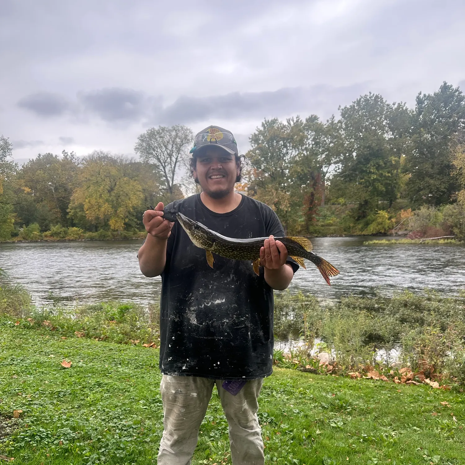 Northern pike caught on Fishbrain