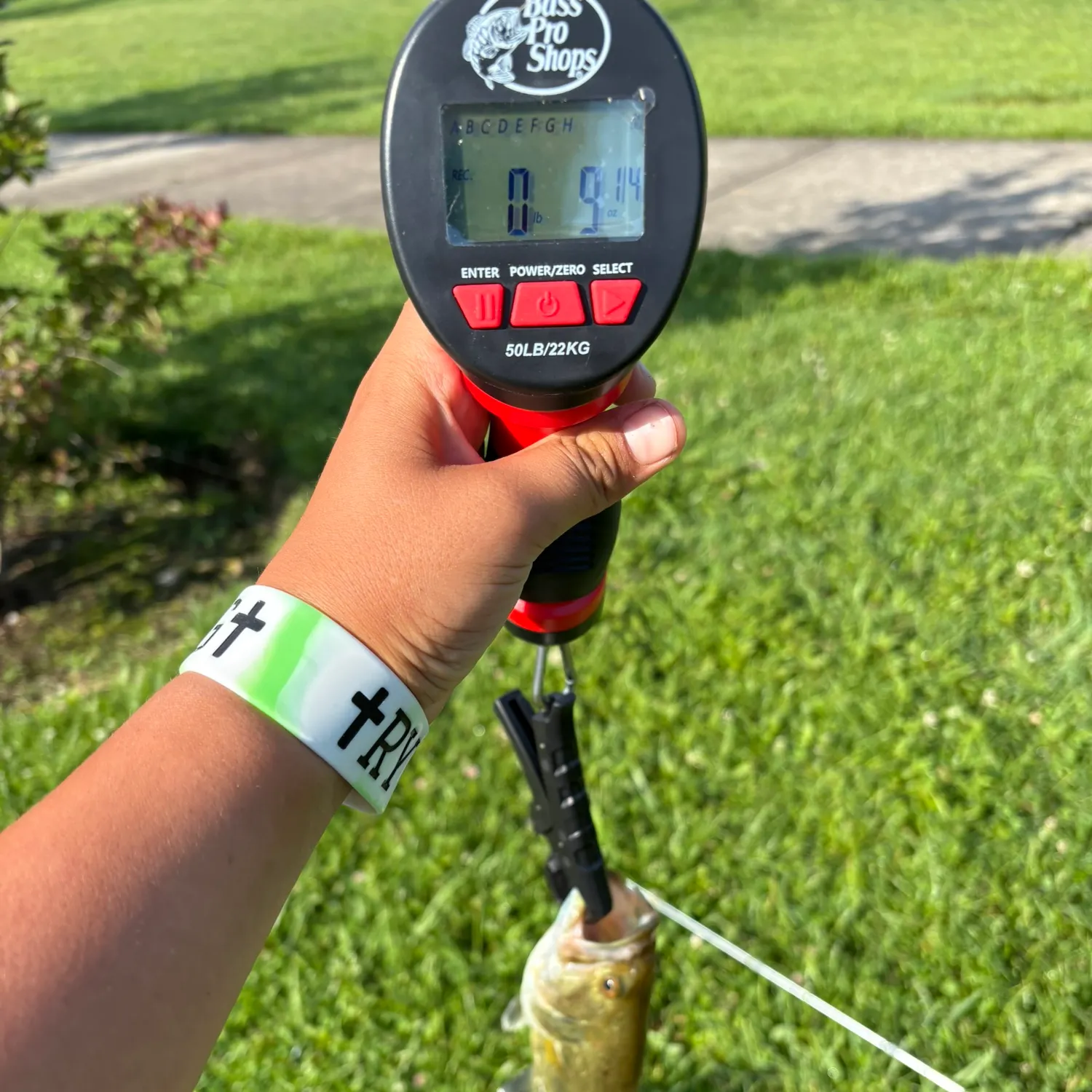 recently logged catches