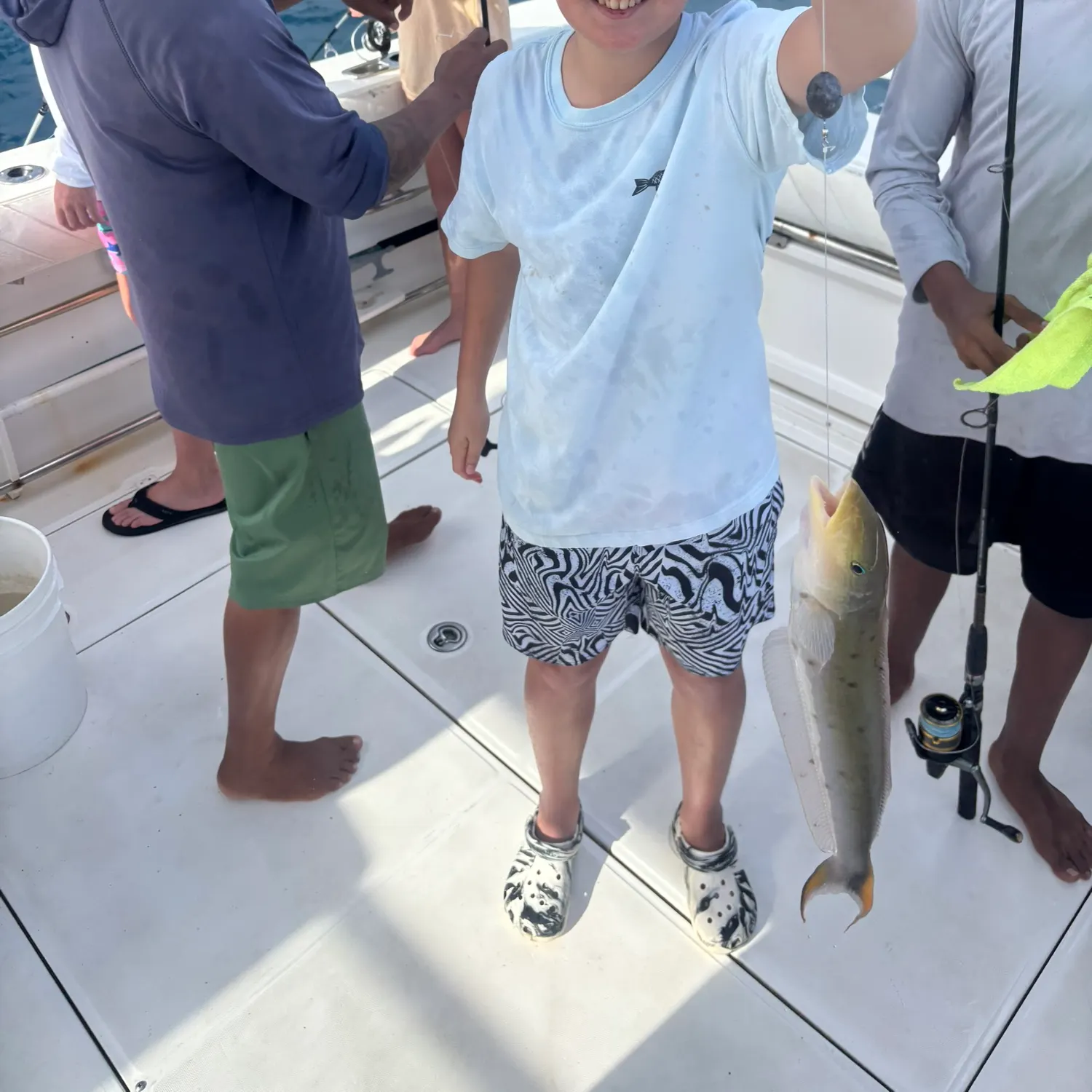 The most recent Serpent eel catches on Fishbrain