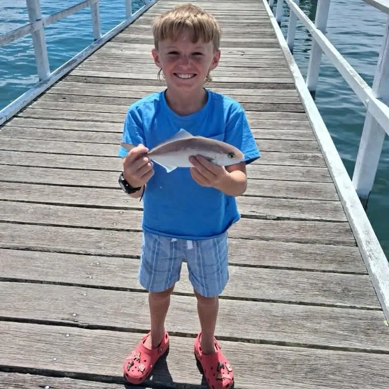Fish caught on Fishbrain