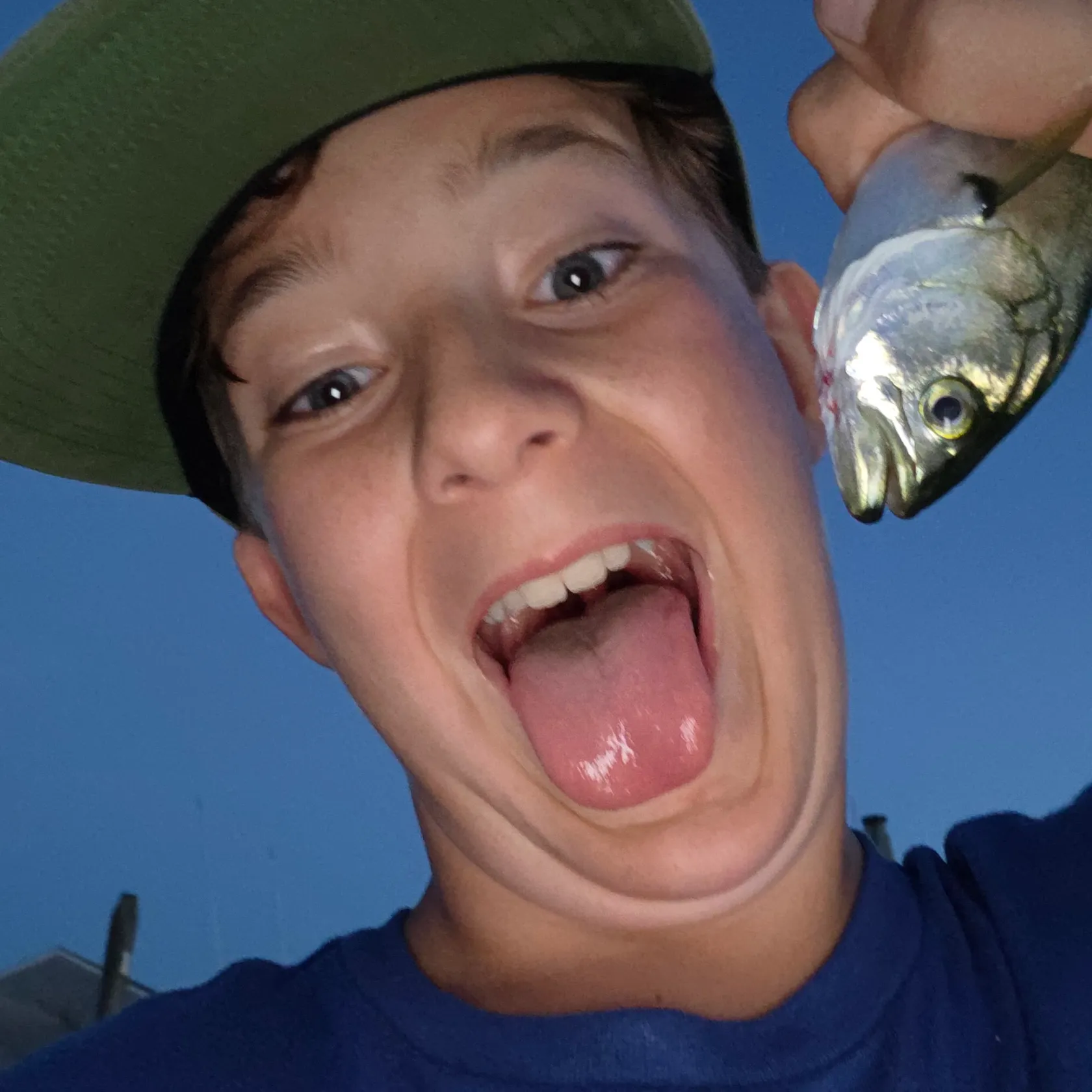 Bluefish caught on Fishbrain