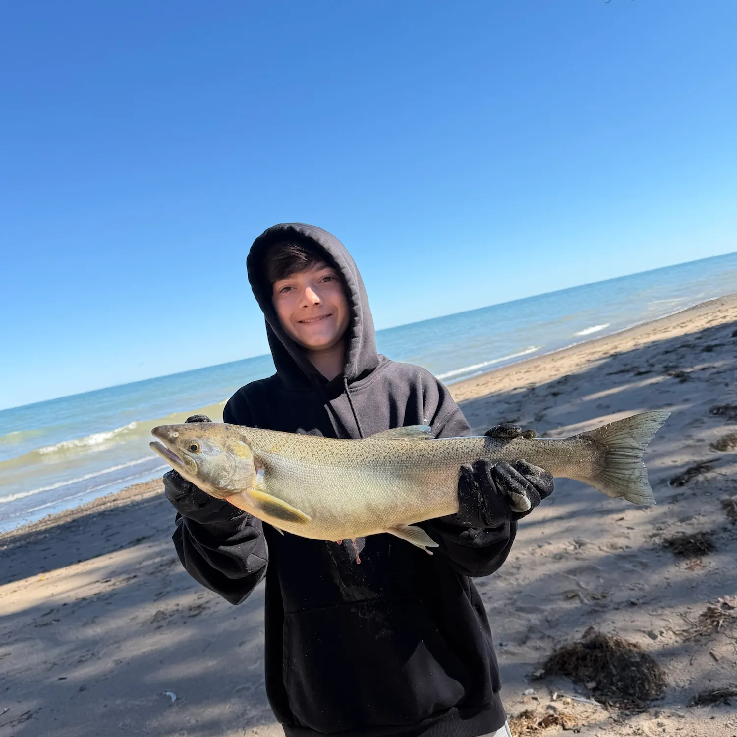 Coho salmon caught on Fishbrain