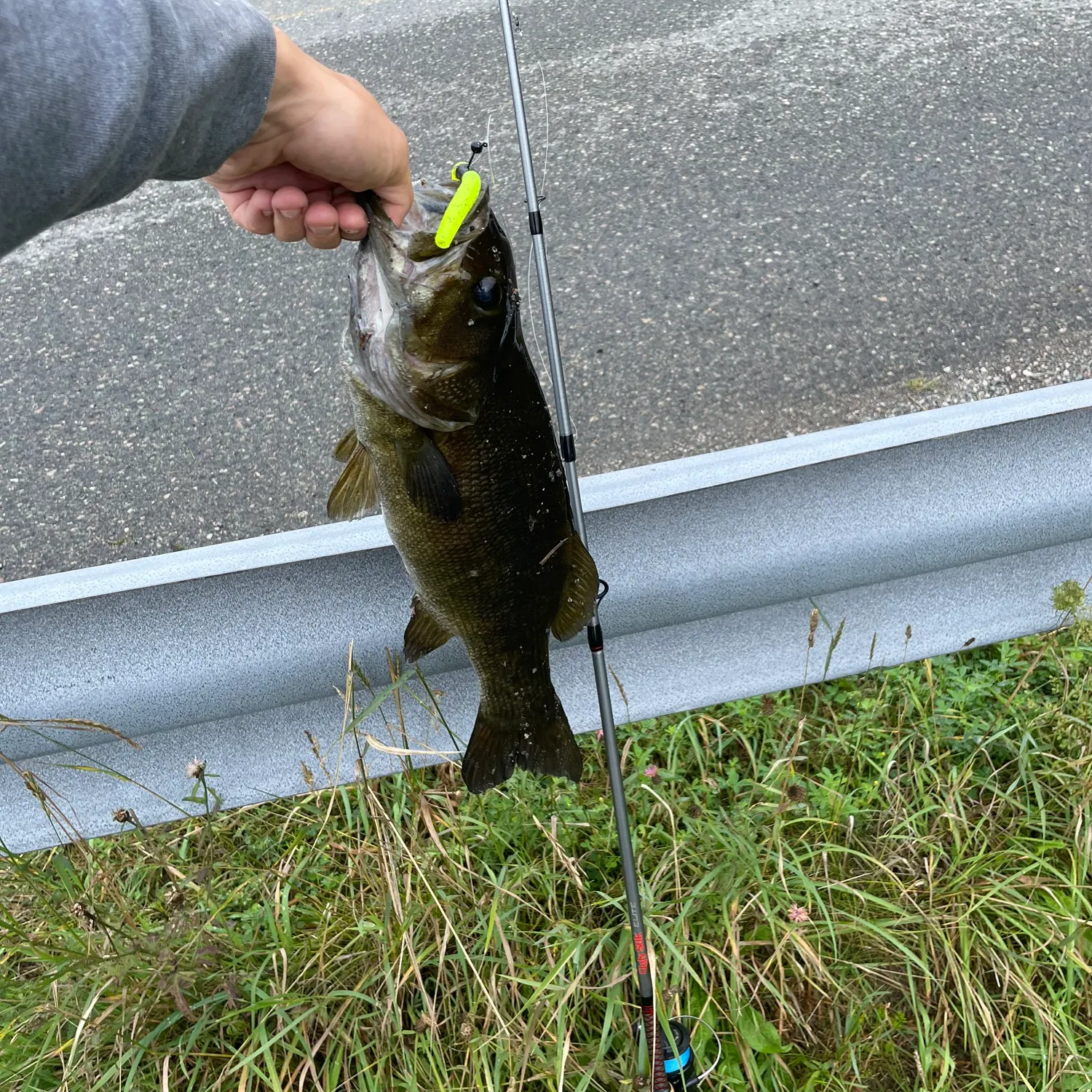 Smallmouth bass caught on Fishbrain