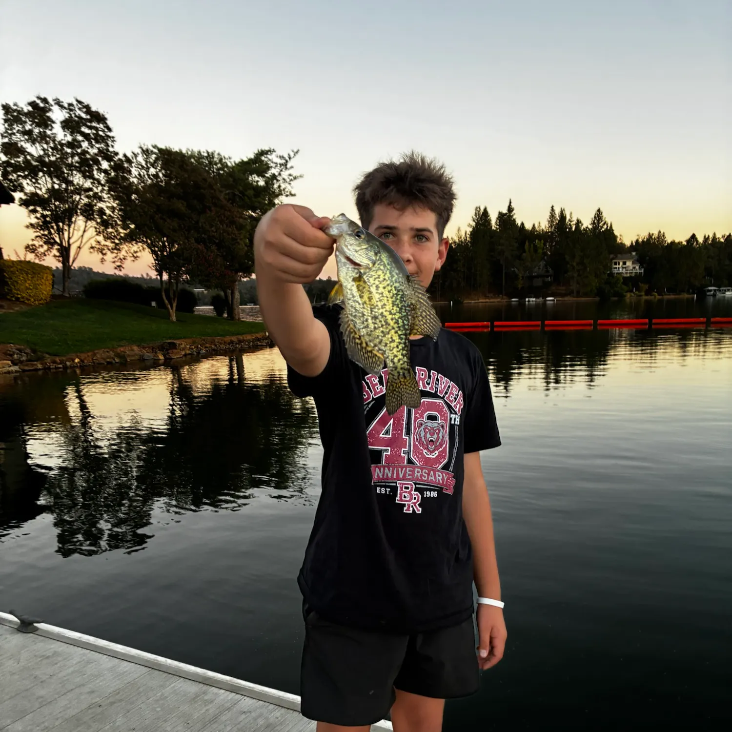 Black crappie caught on Fishbrain