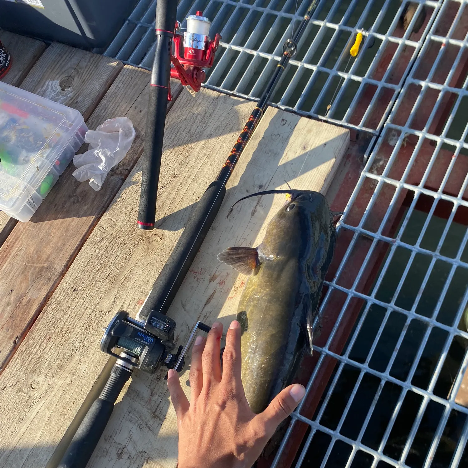 catch