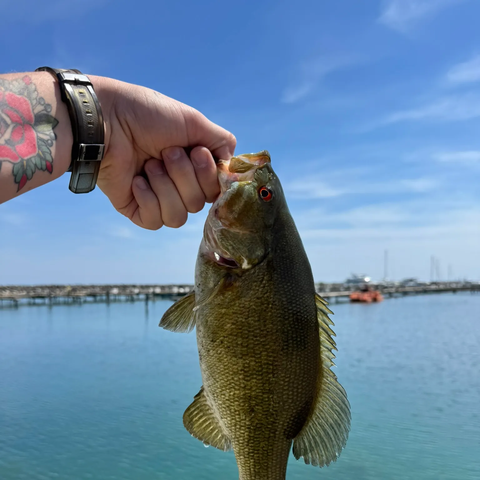 catch