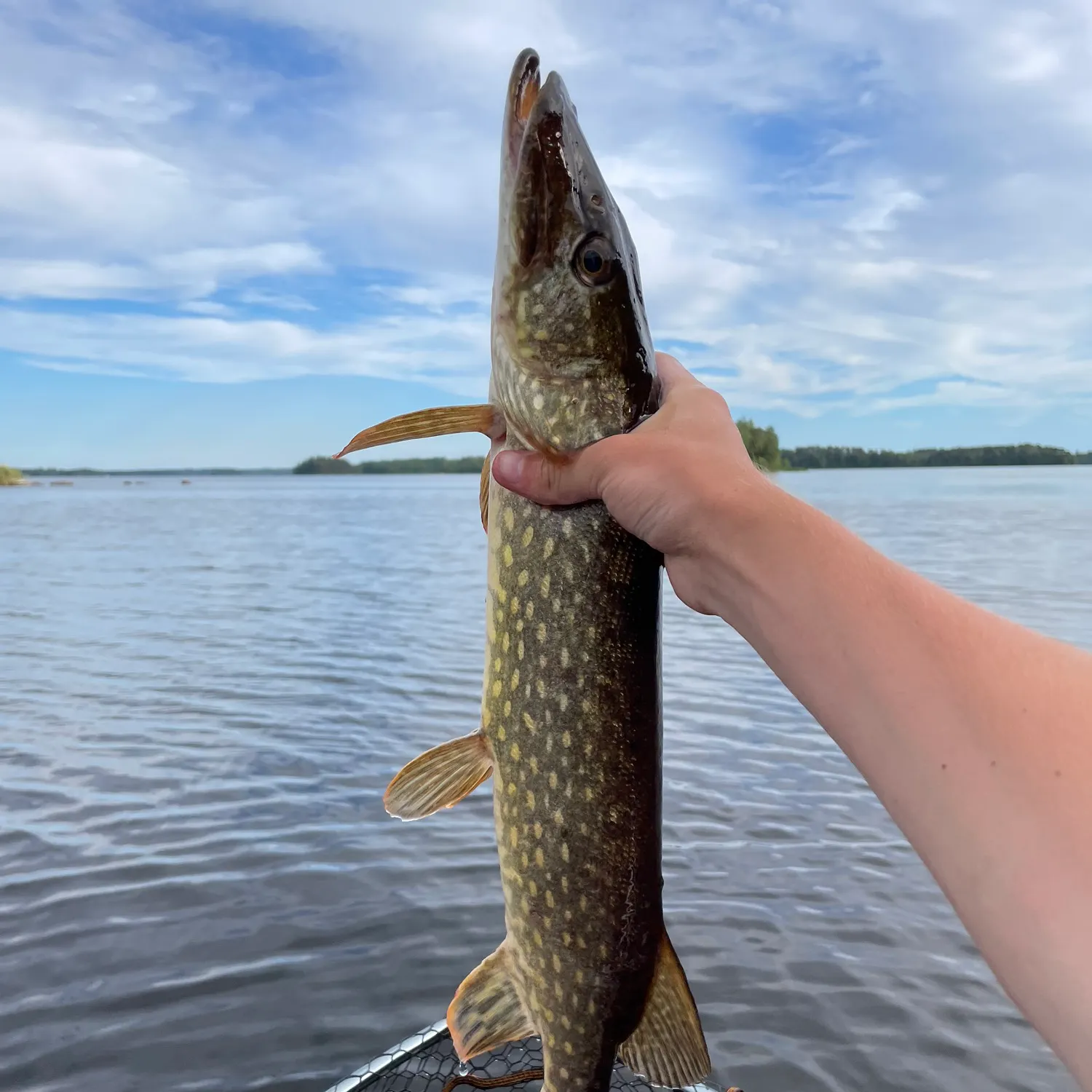 catch