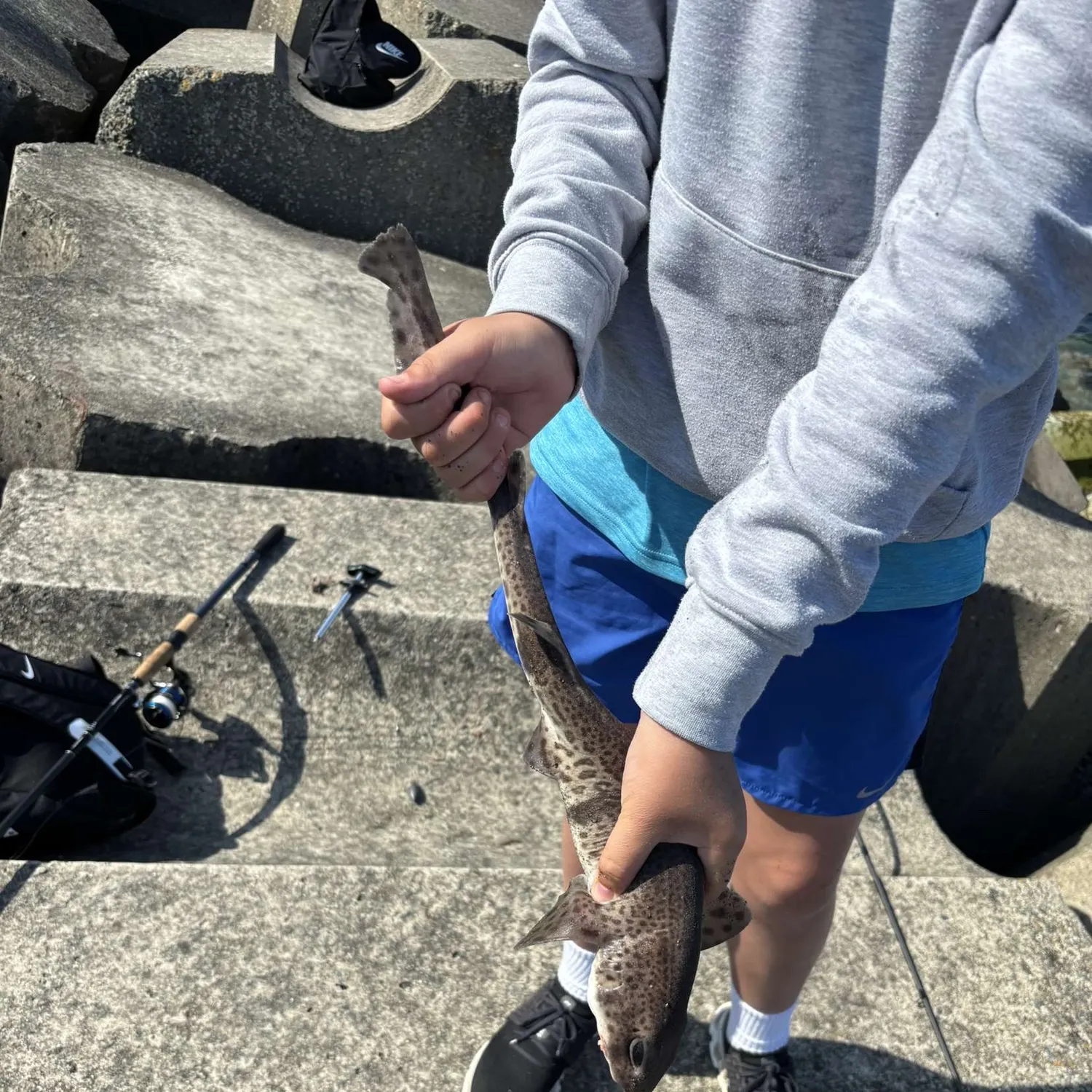 most liked catch image