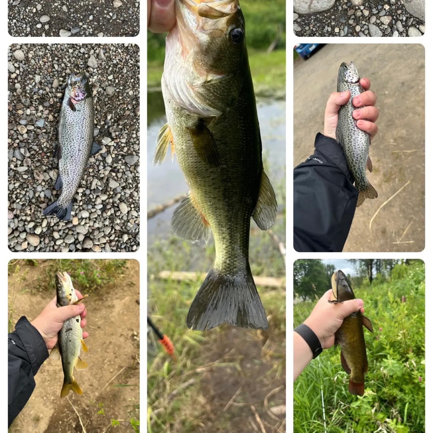 angler catch