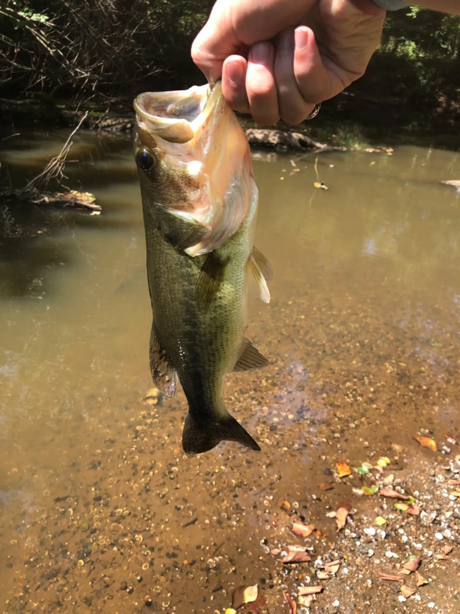 Post image from matt.andrews