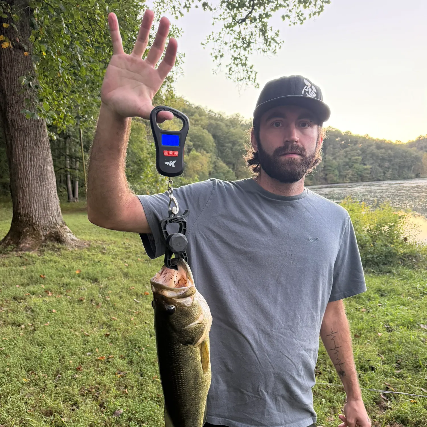 Largemouth bass caught on Fishbrain