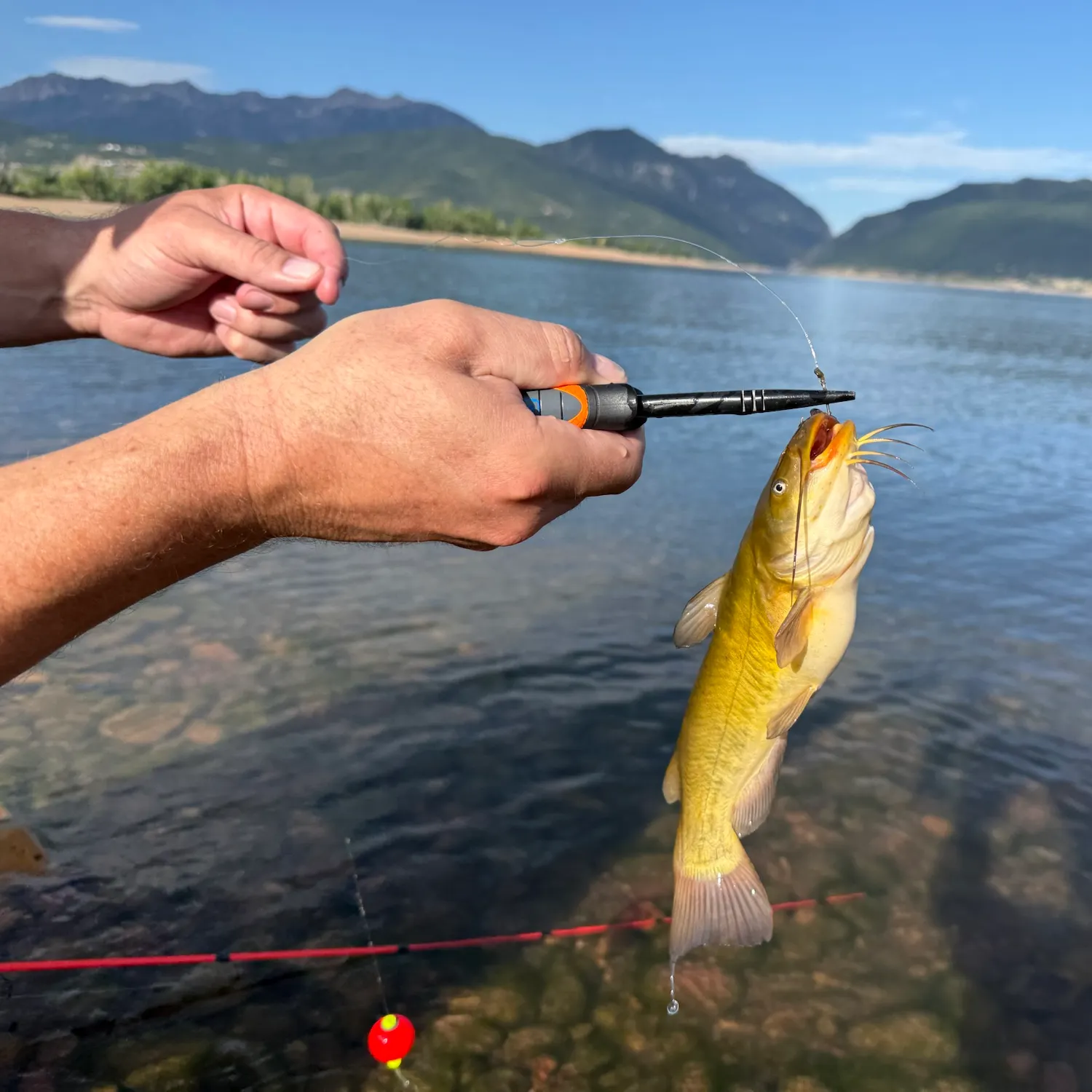 catch