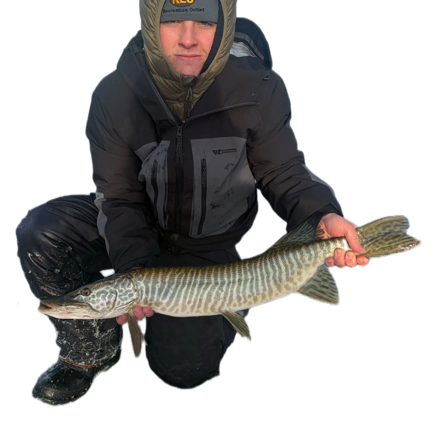 The most recent Tiger muskellunge catches on Fishbrain