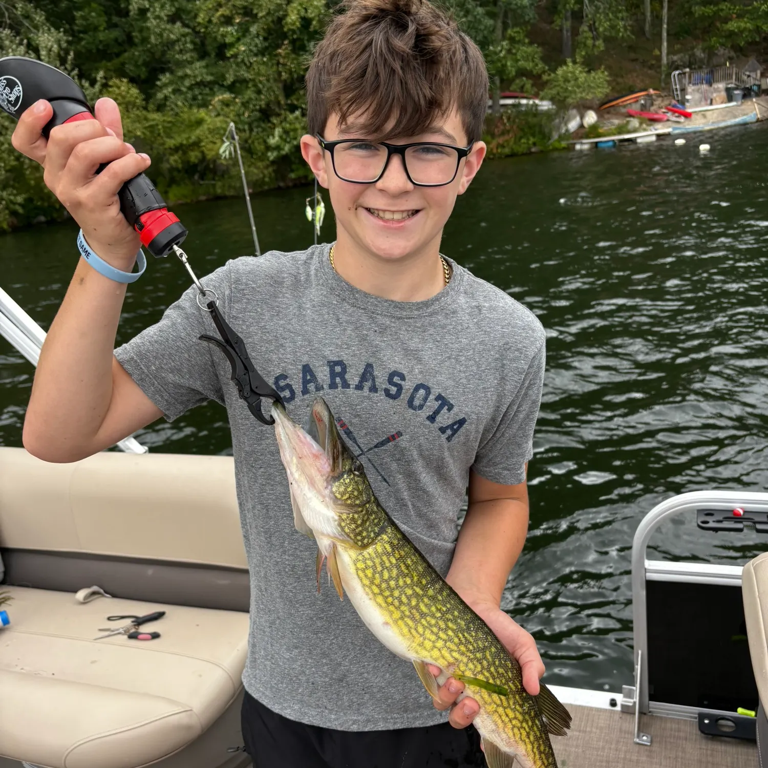 Chain pickerel caught on Fishbrain