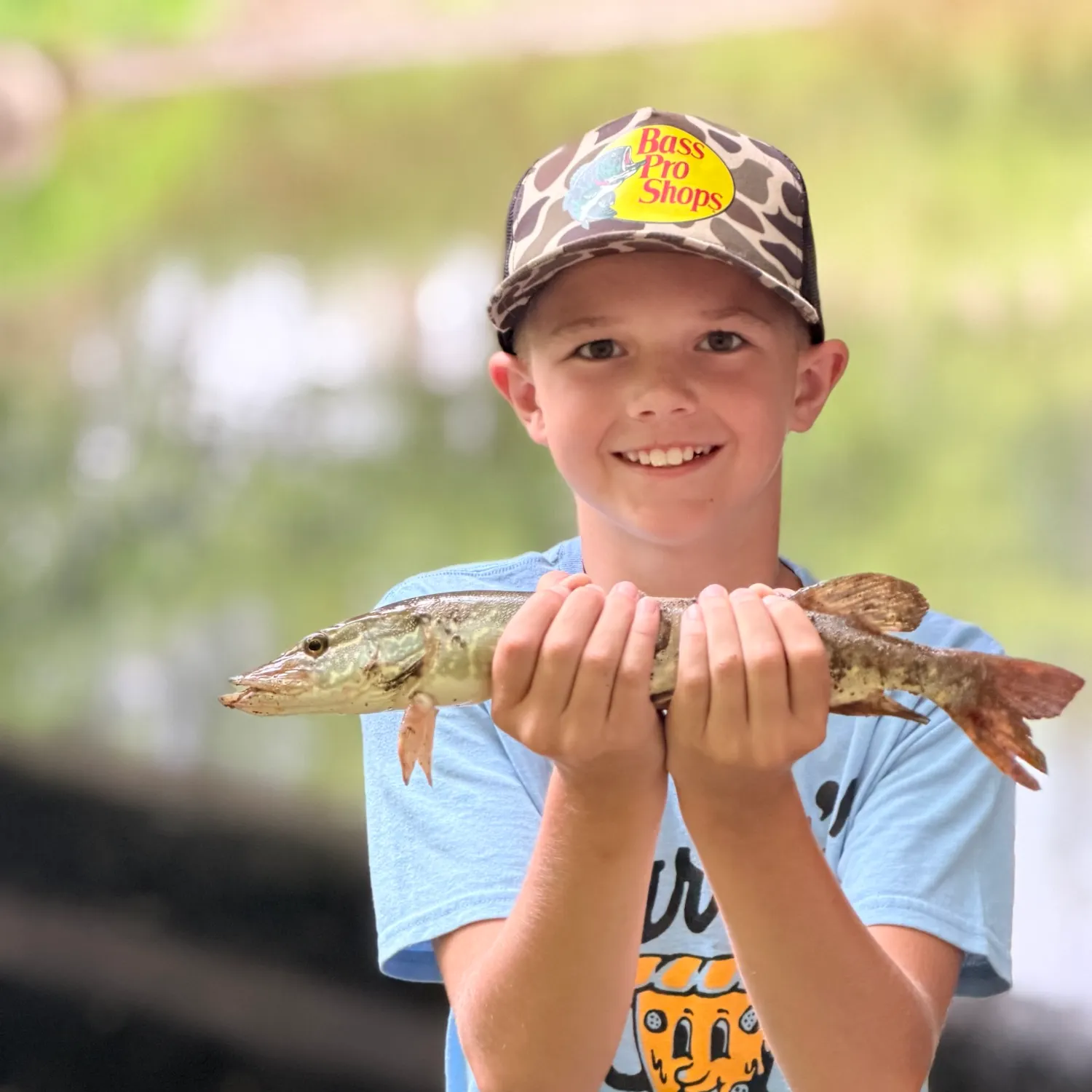 Northern pike caught on Fishbrain