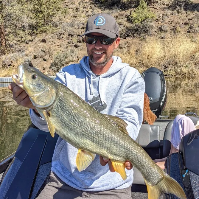 Fishing for Northern pikeminnow near you