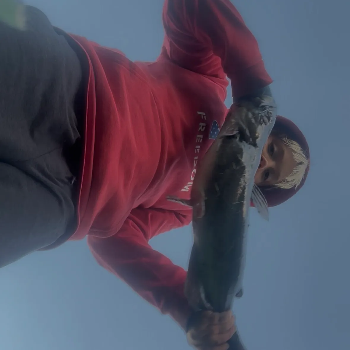 Channel catfish caught on Fishbrain