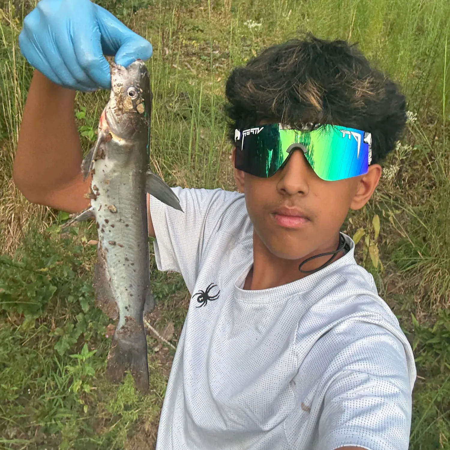 Channel catfish caught on Fishbrain