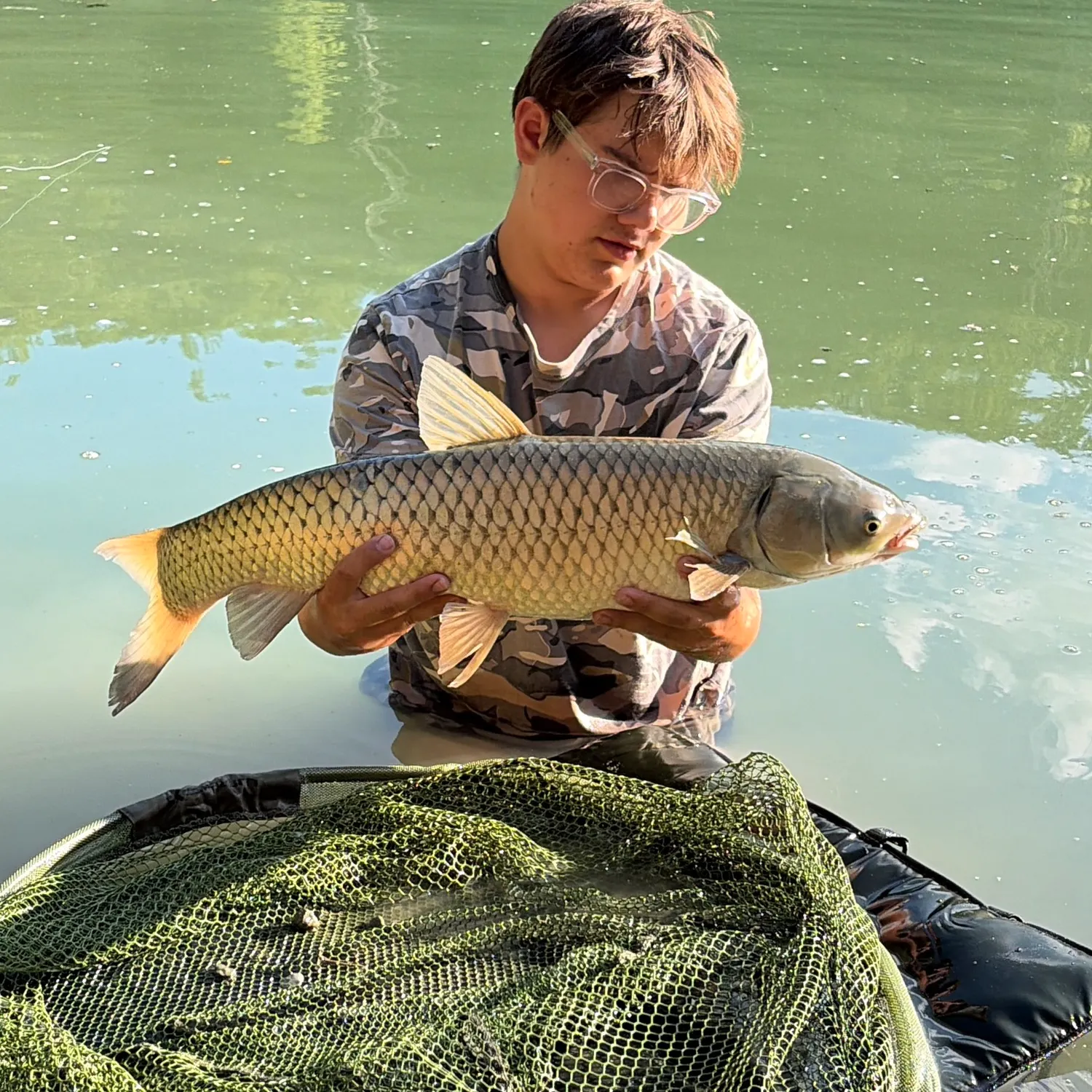 Common carp caught on Fishbrain