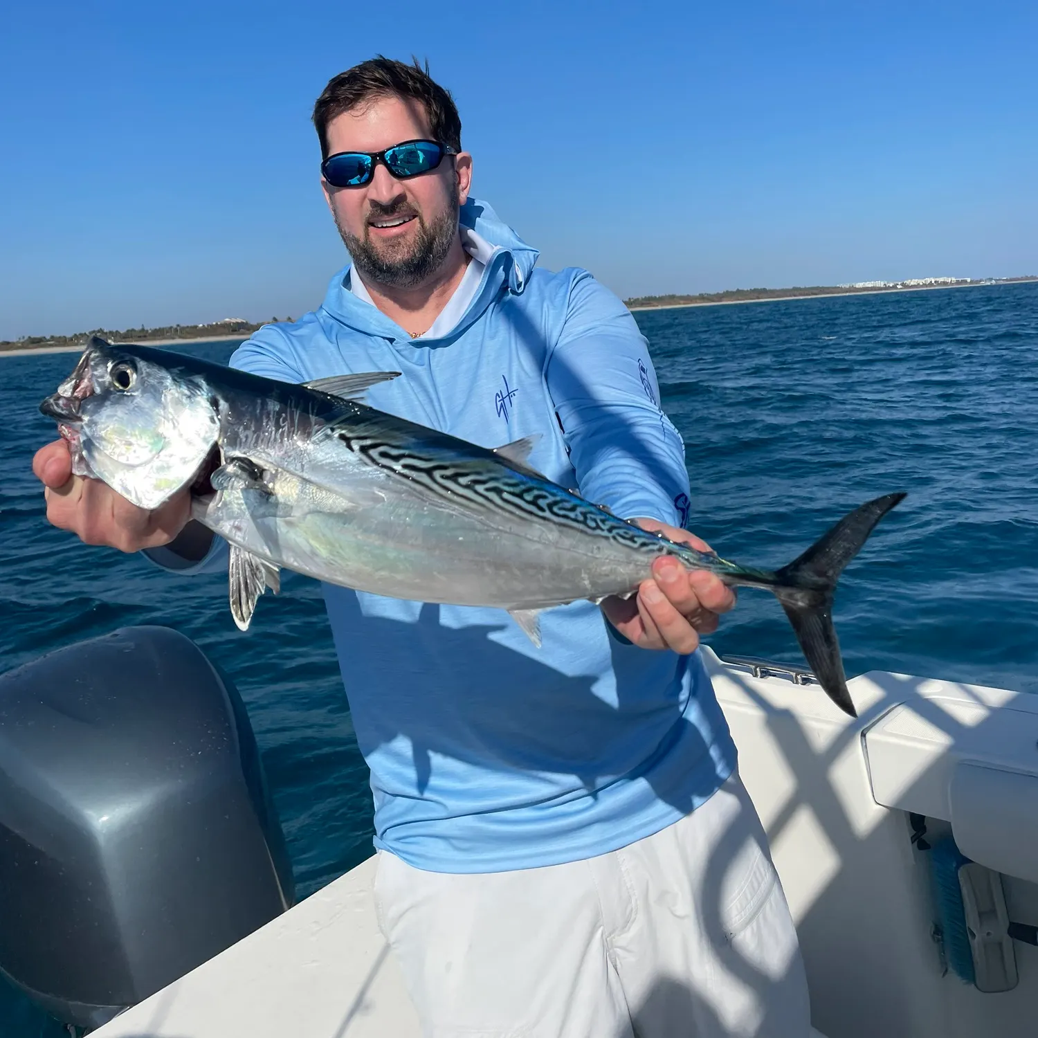 The most recent Little tunny catches on Fishbrain