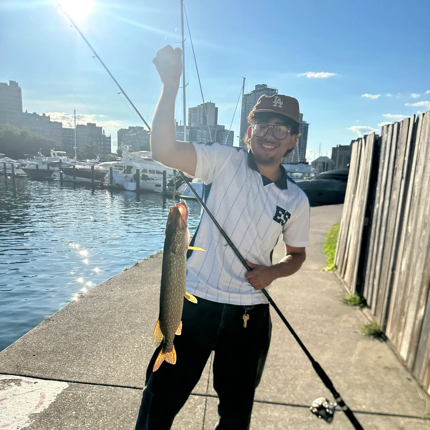 recently logged catches