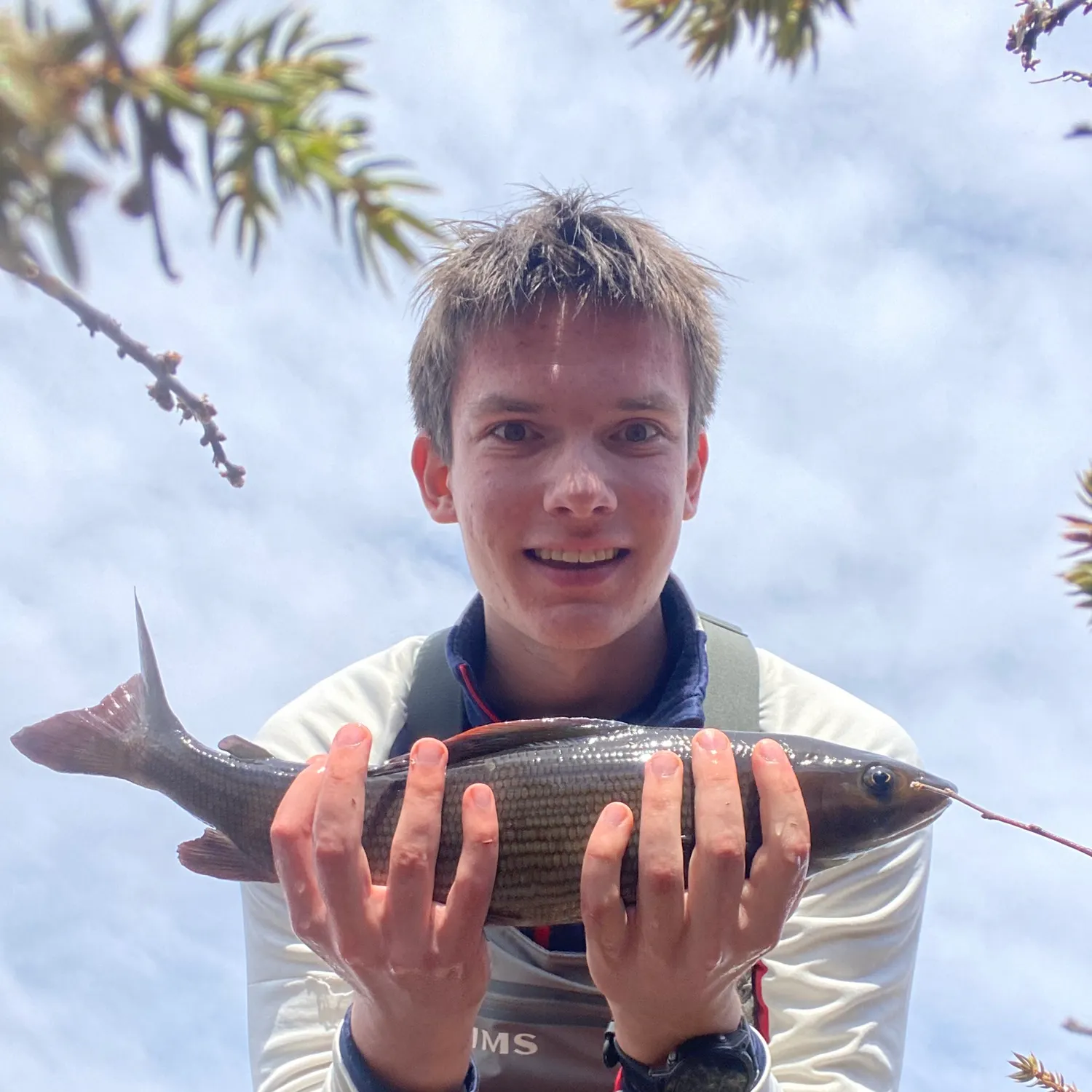The most recent European grayling catches on Fishbrain