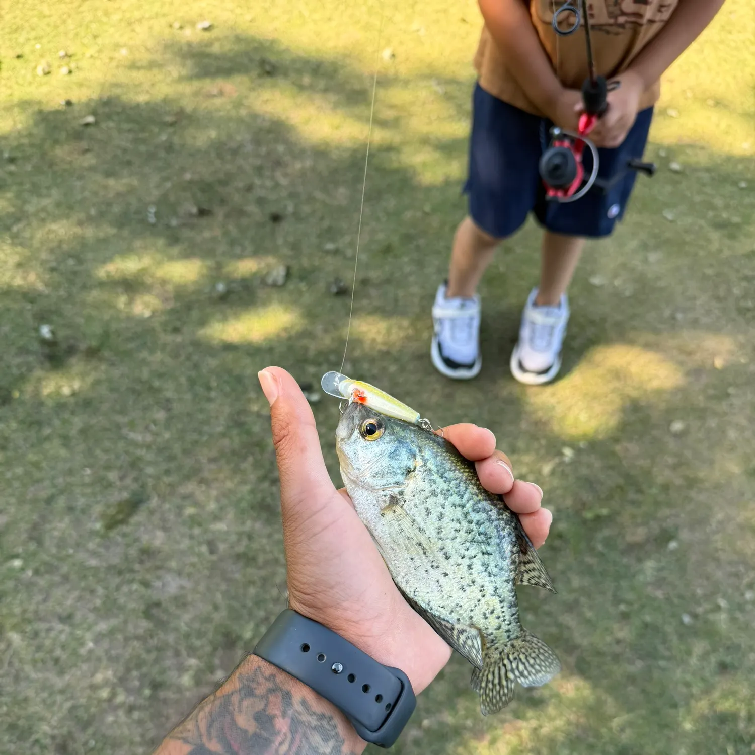 catch