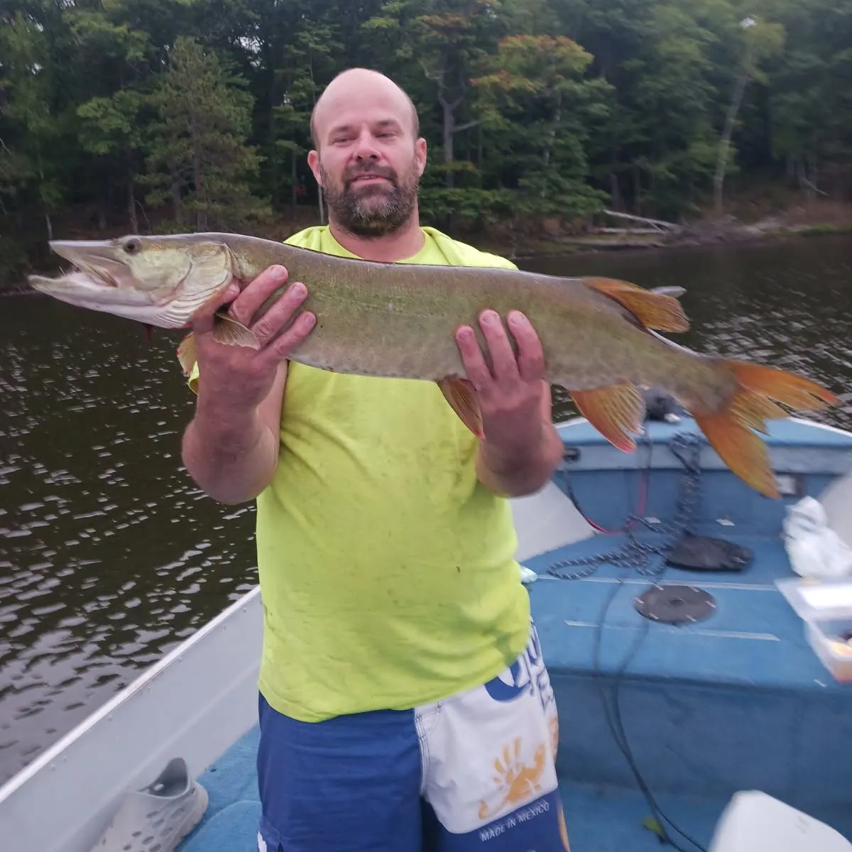 Muskie caught on Fishbrain