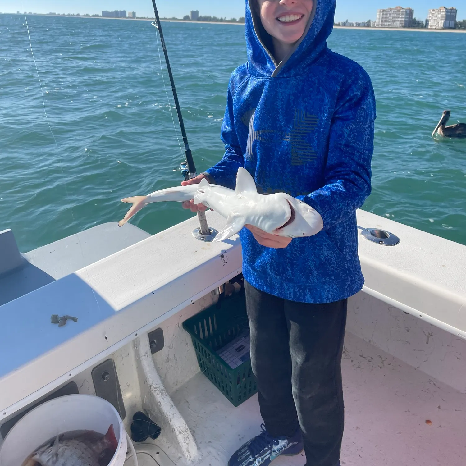 The most recent Caribbean reef shark catches on Fishbrain