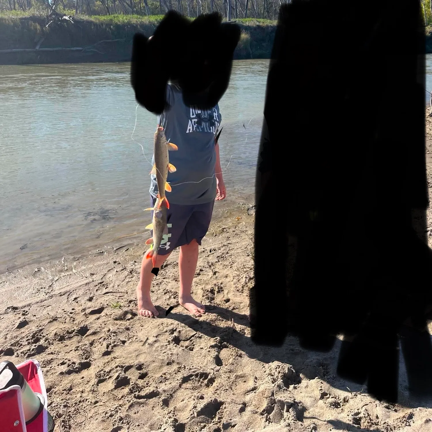 The most recent Greater redhorse catches on Fishbrain