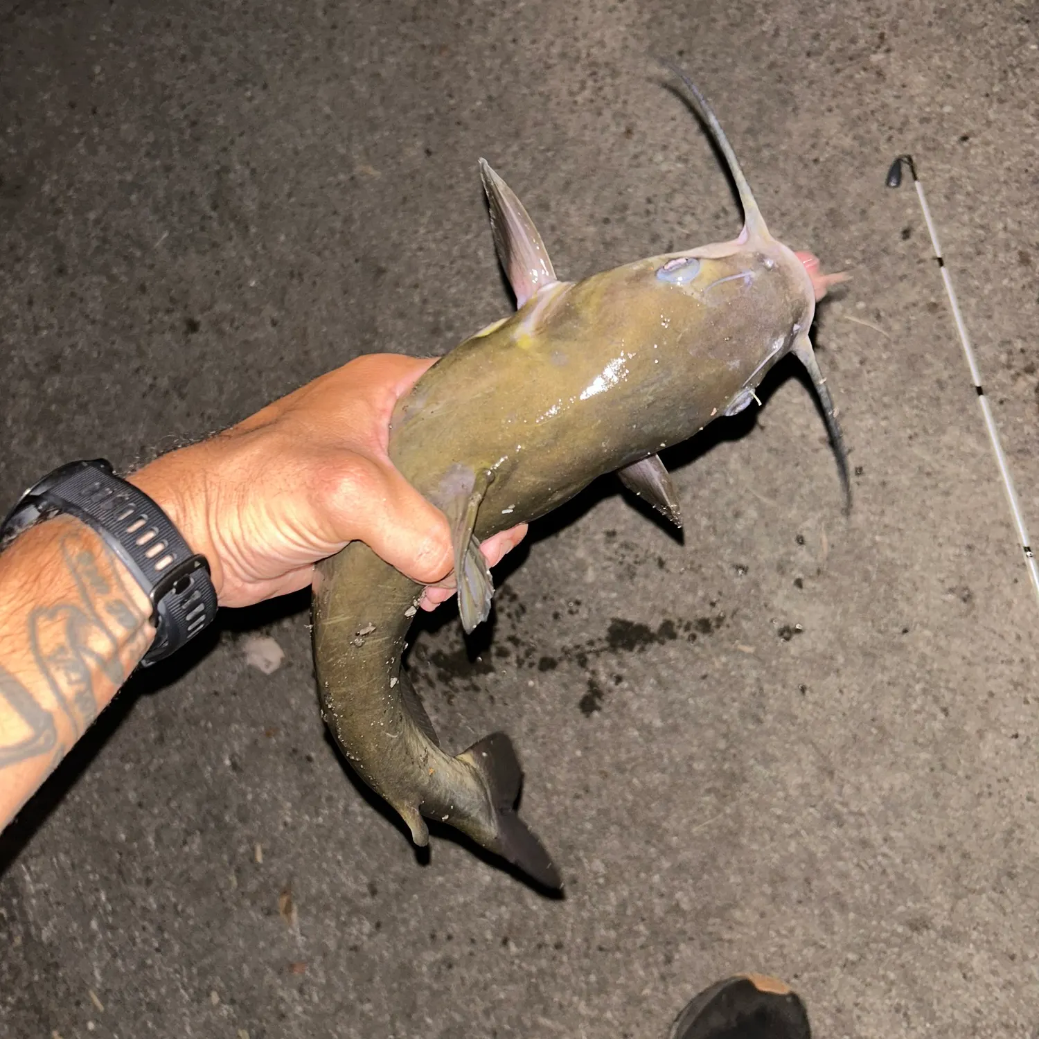 catch