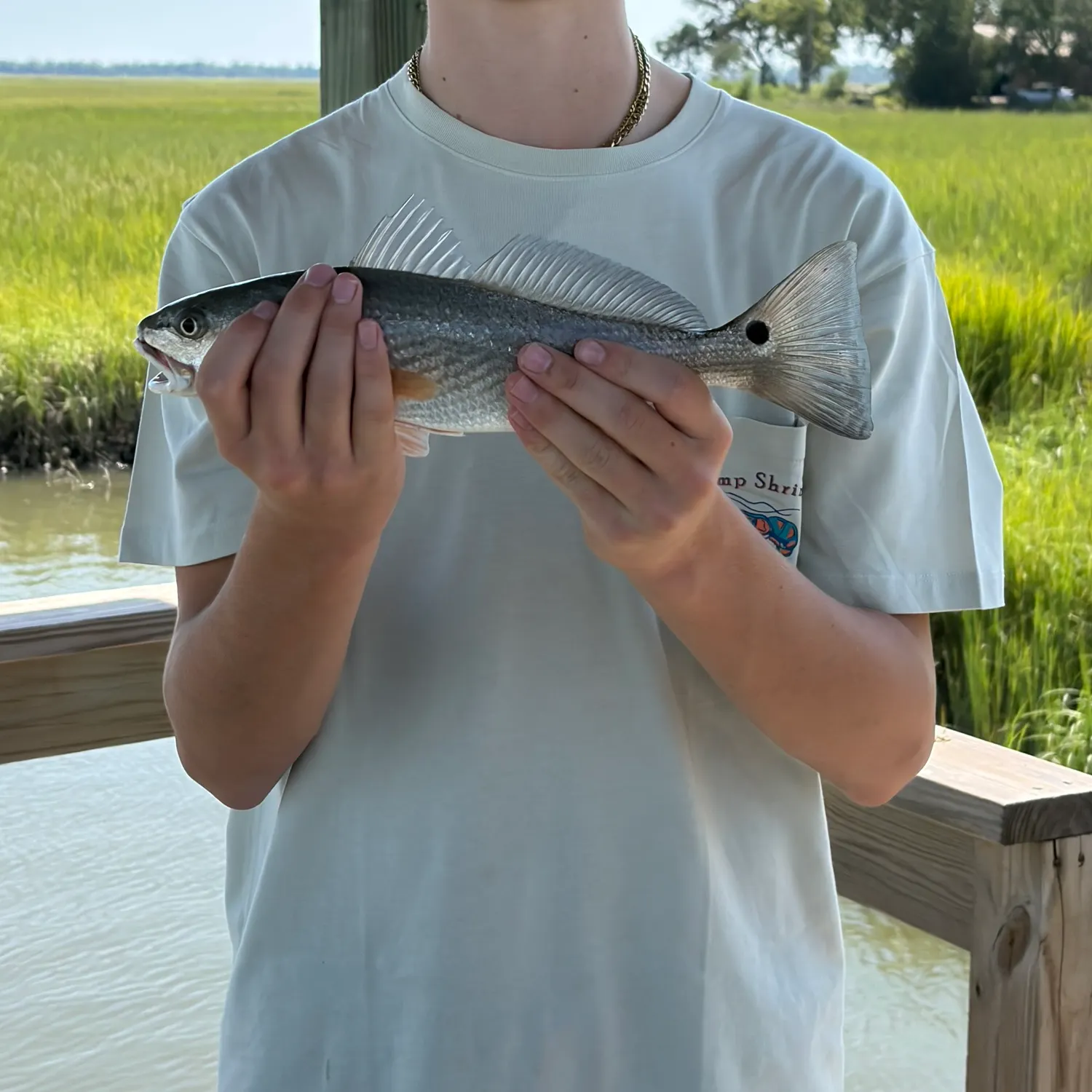 Red drum caught on Fishbrain