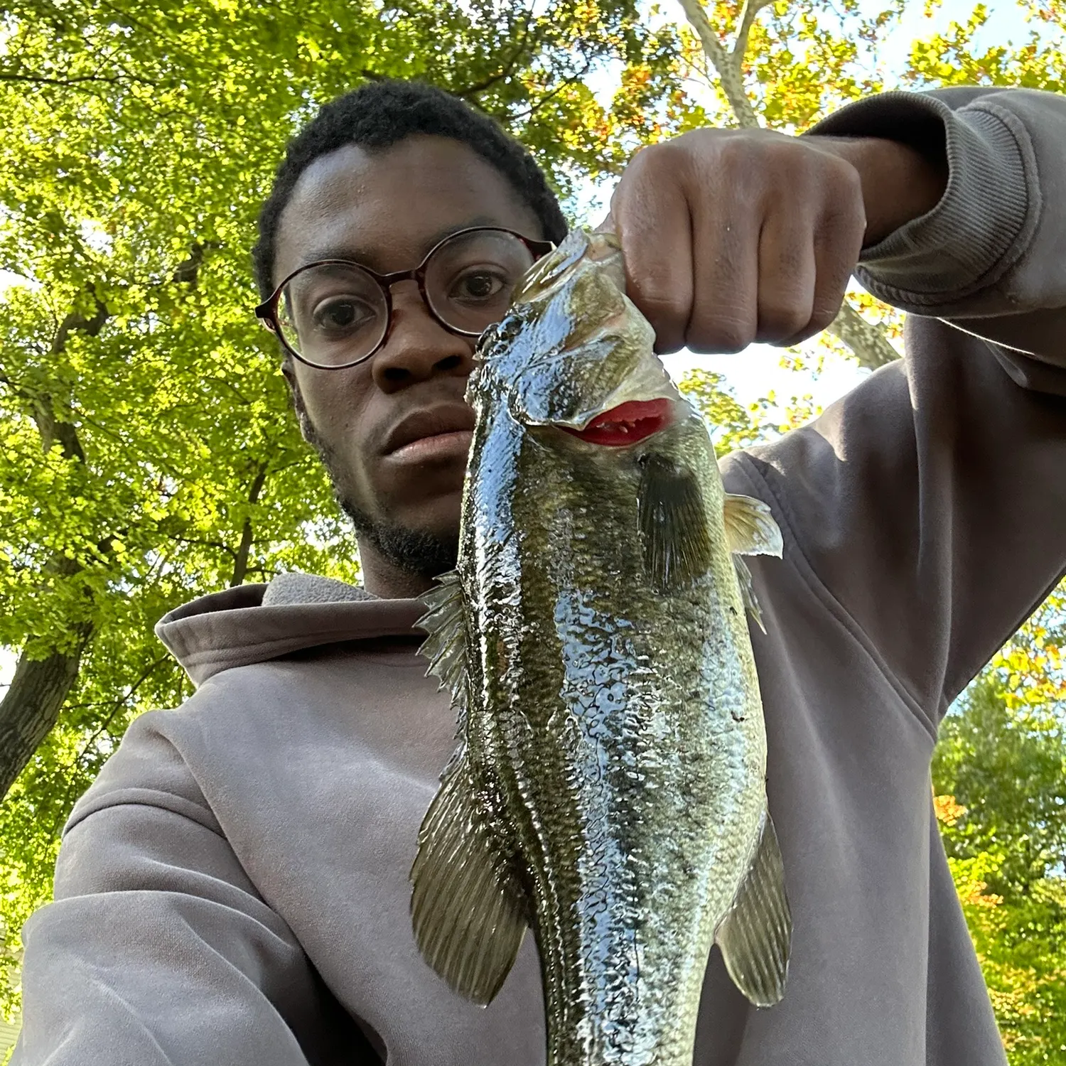 Largemouth bass caught on Fishbrain