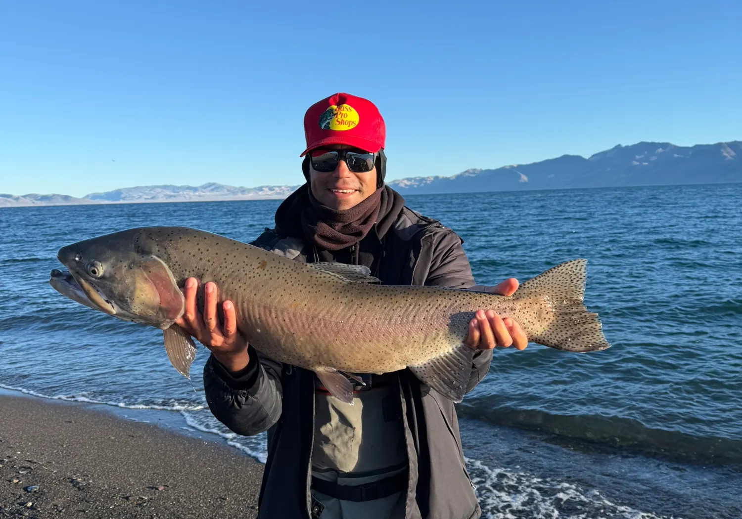 Lahontan cutthroat trout