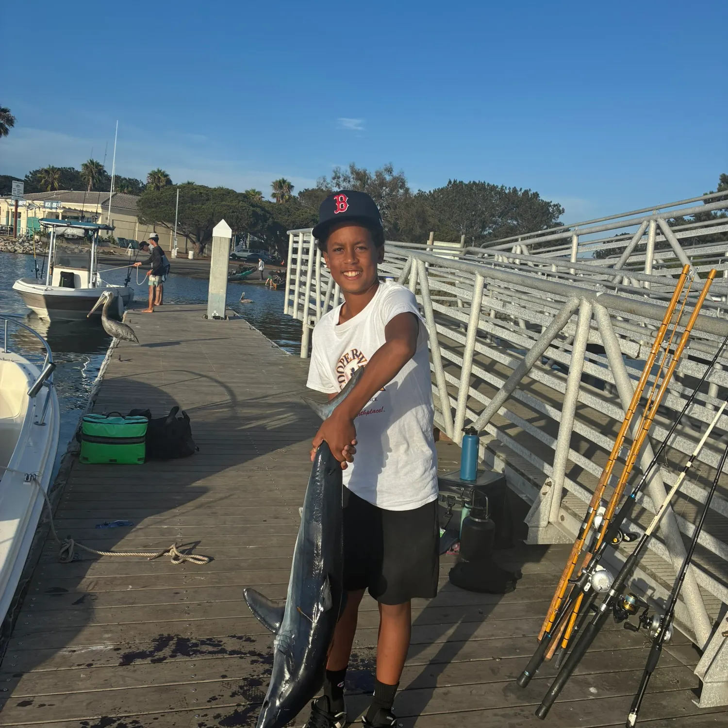The most recent Shortfin mako shark catches on Fishbrain