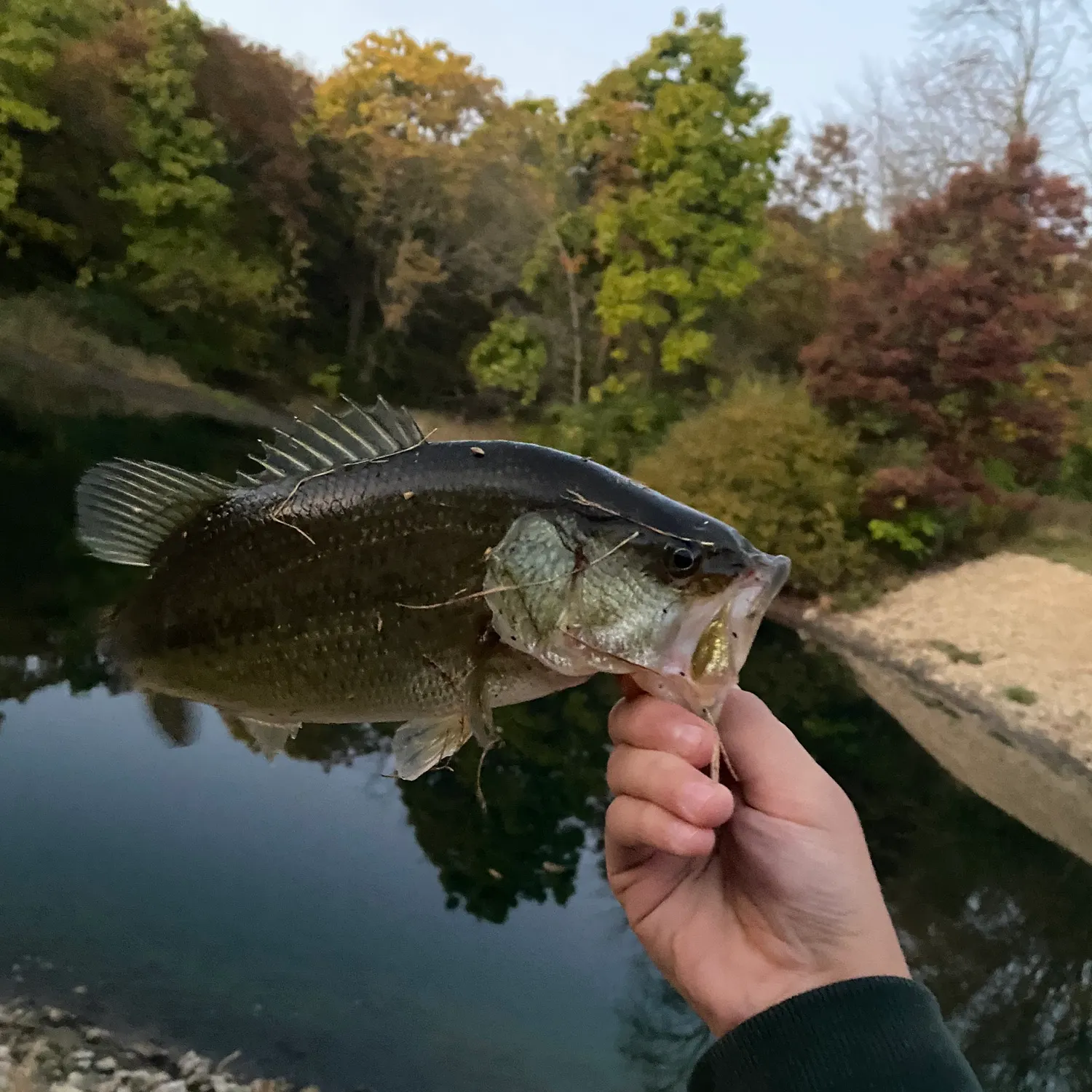 angler catch