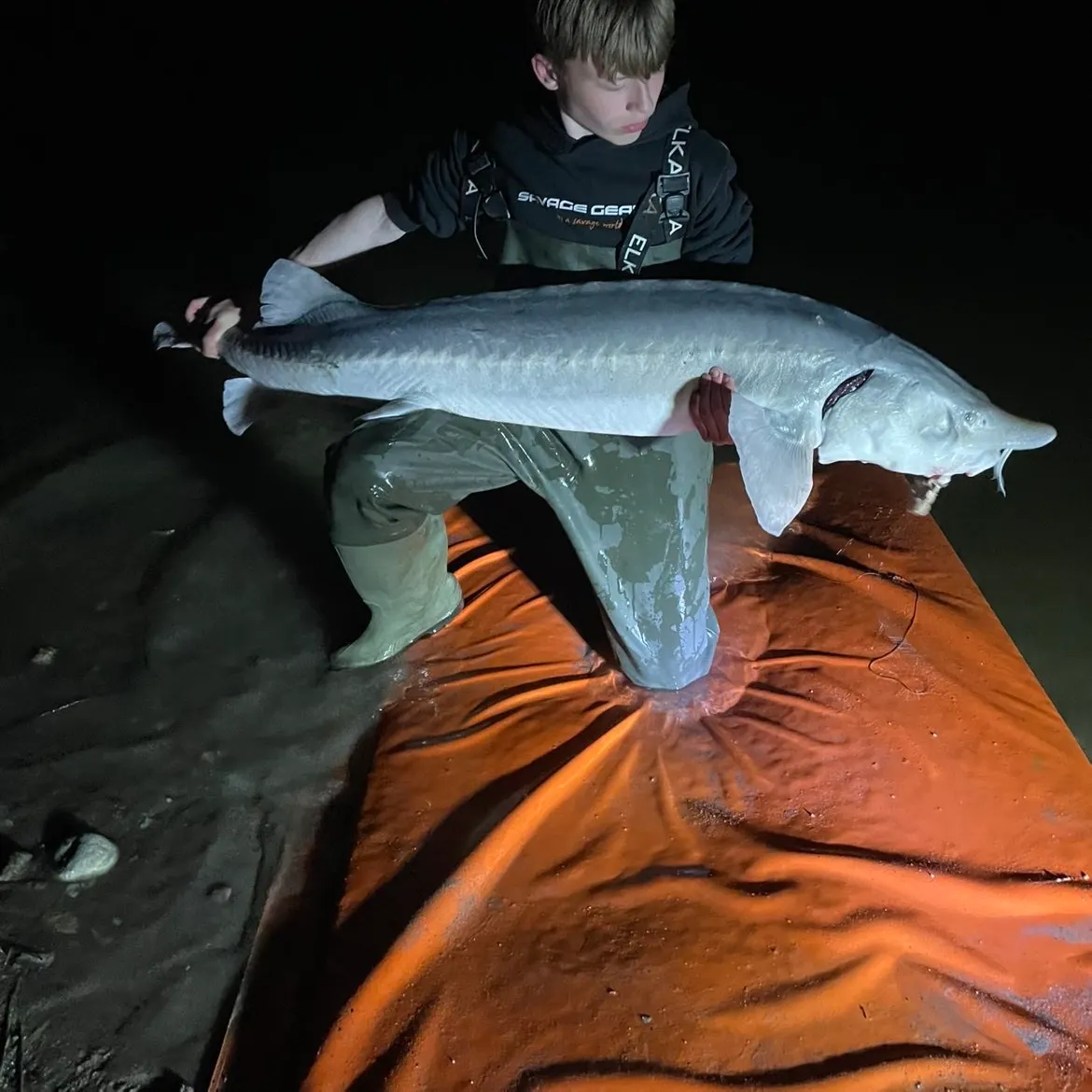 The most recent Russian sturgeon catches on Fishbrain