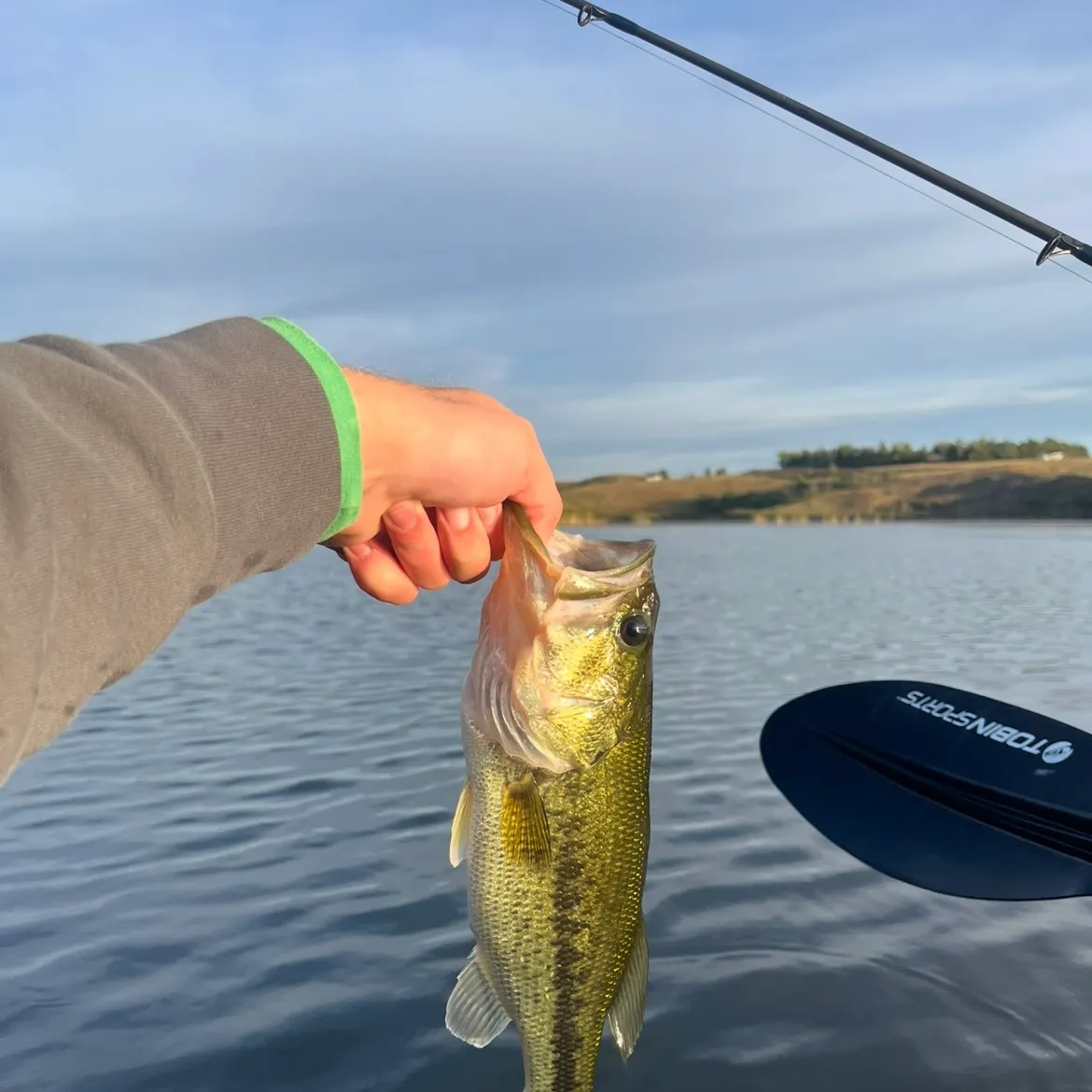 Largemouth bass caught on Fishbrain