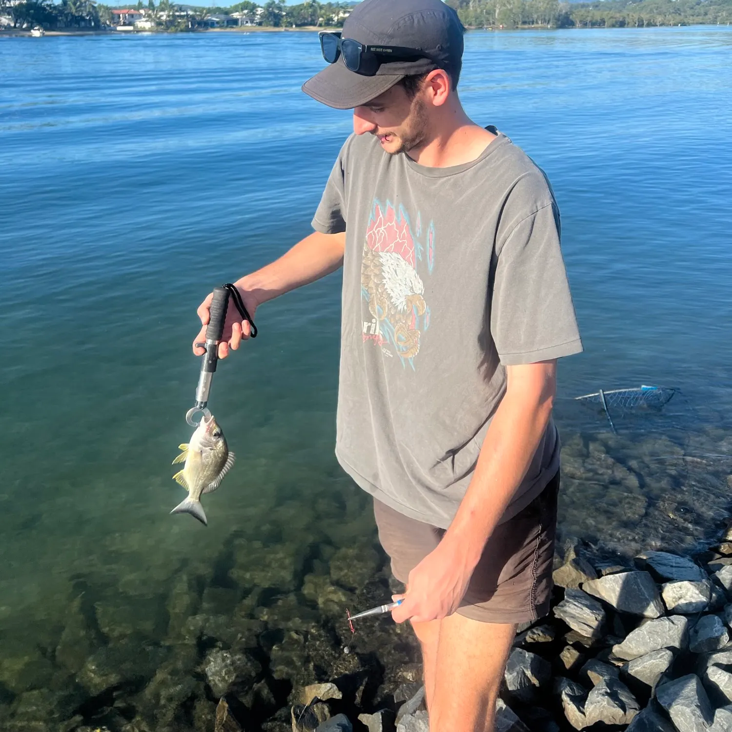 The most recent Surf bream catches on Fishbrain
