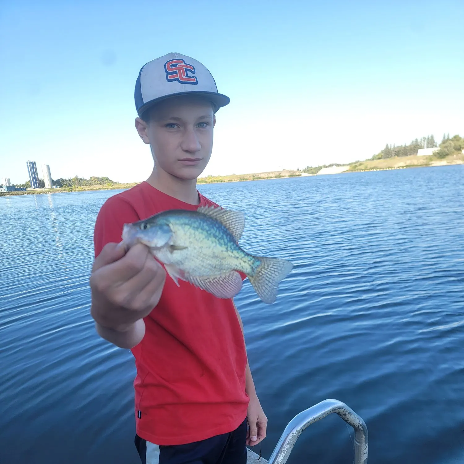 Black crappie caught on Fishbrain