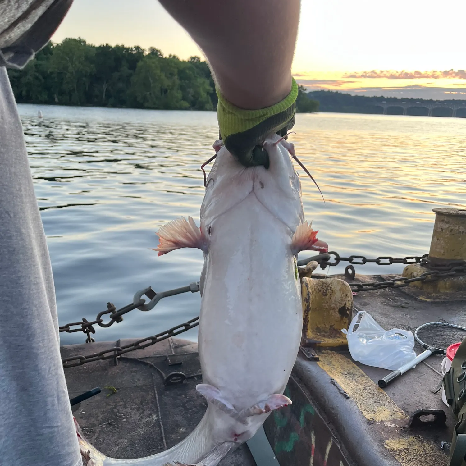 catch
