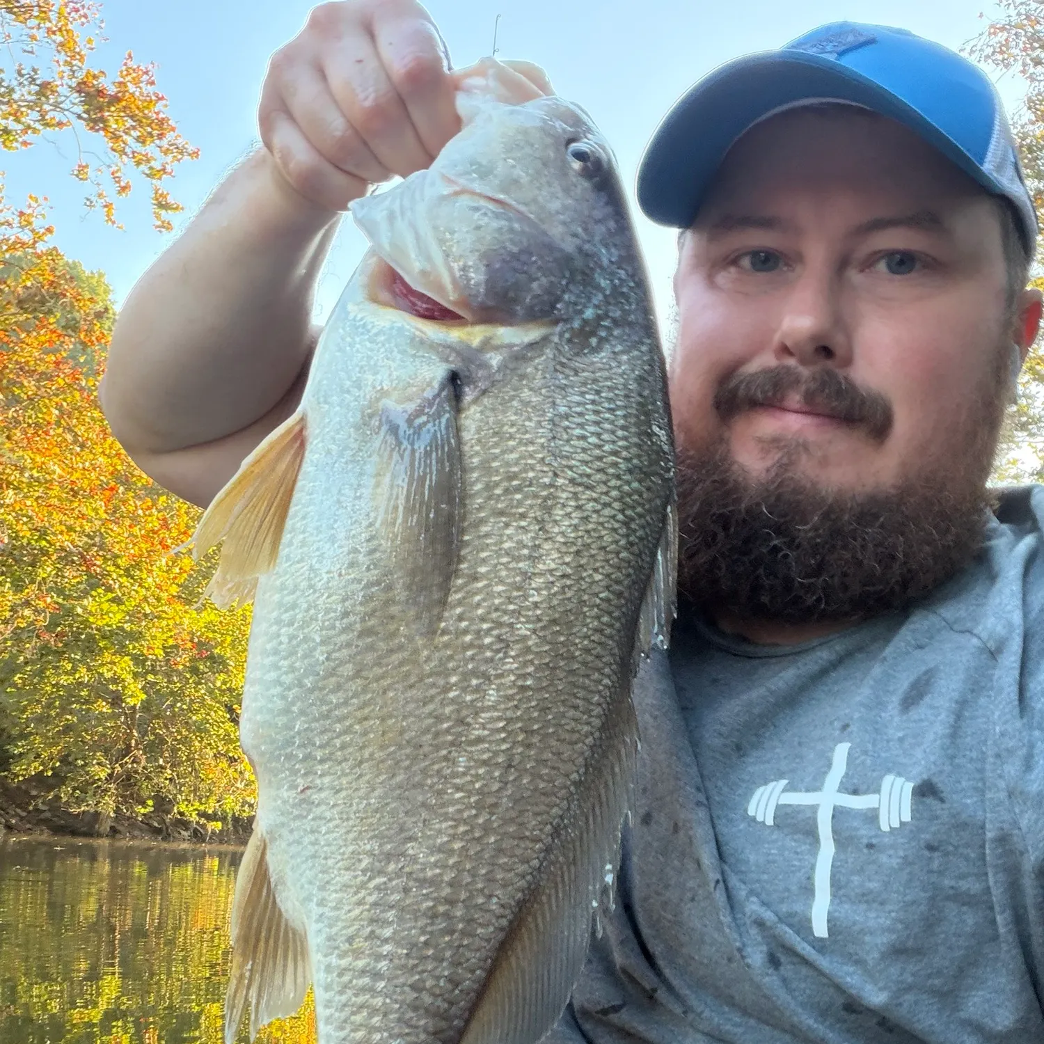 Freshwater drum caught on Fishbrain