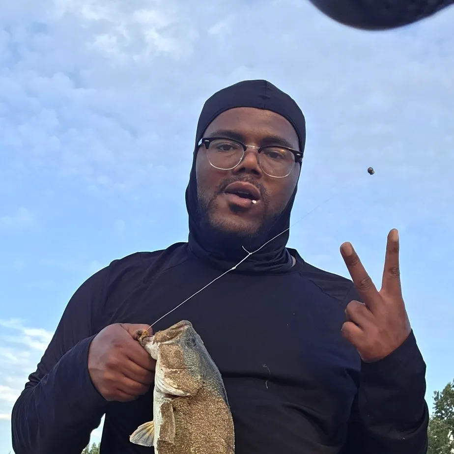 Largemouth bass caught on Fishbrain