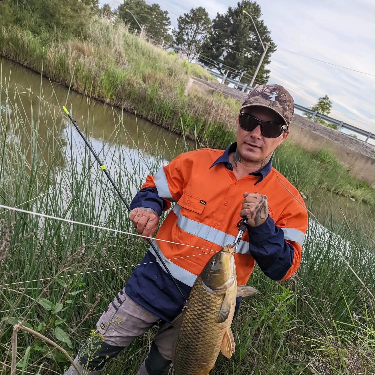 Common carp caught on Fishbrain