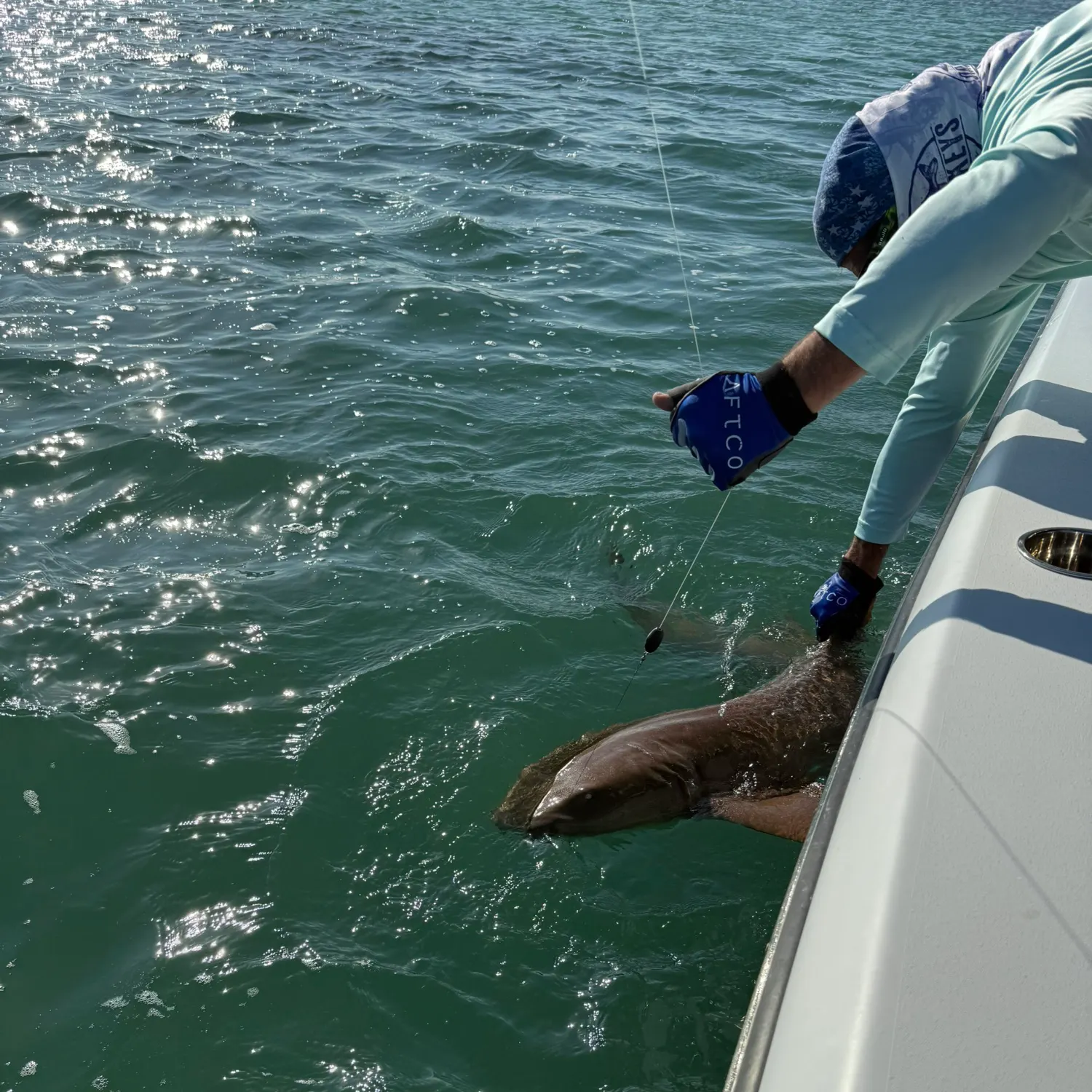The most recent Nurse shark catches on Fishbrain