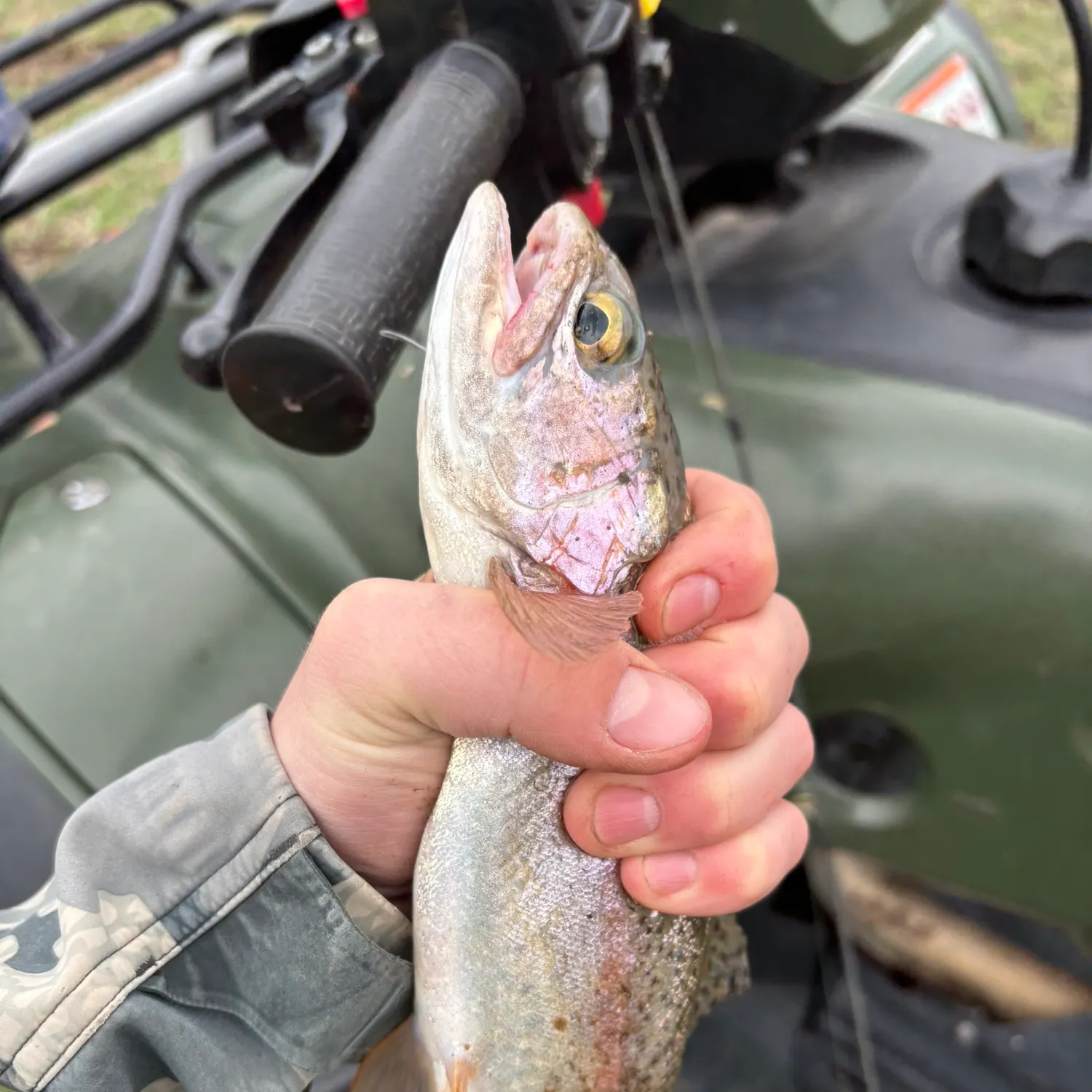Rainbow trout caught on Fishbrain